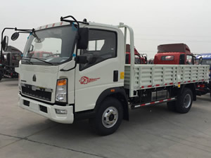 Camion De Marchandises Léger